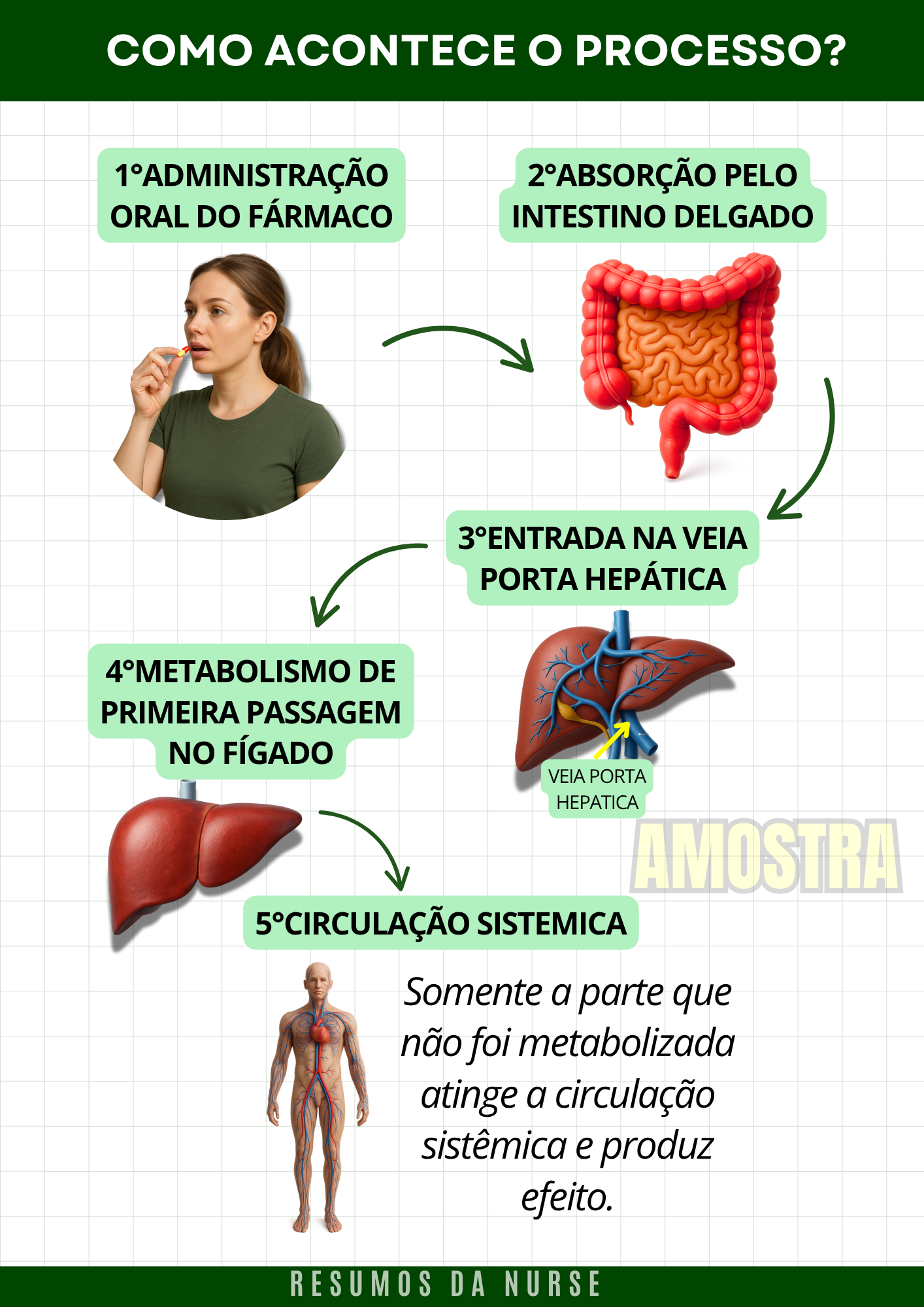 como acontece o processo?
